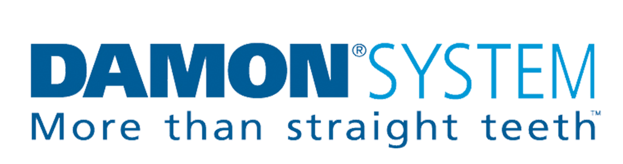 damon-system_logo